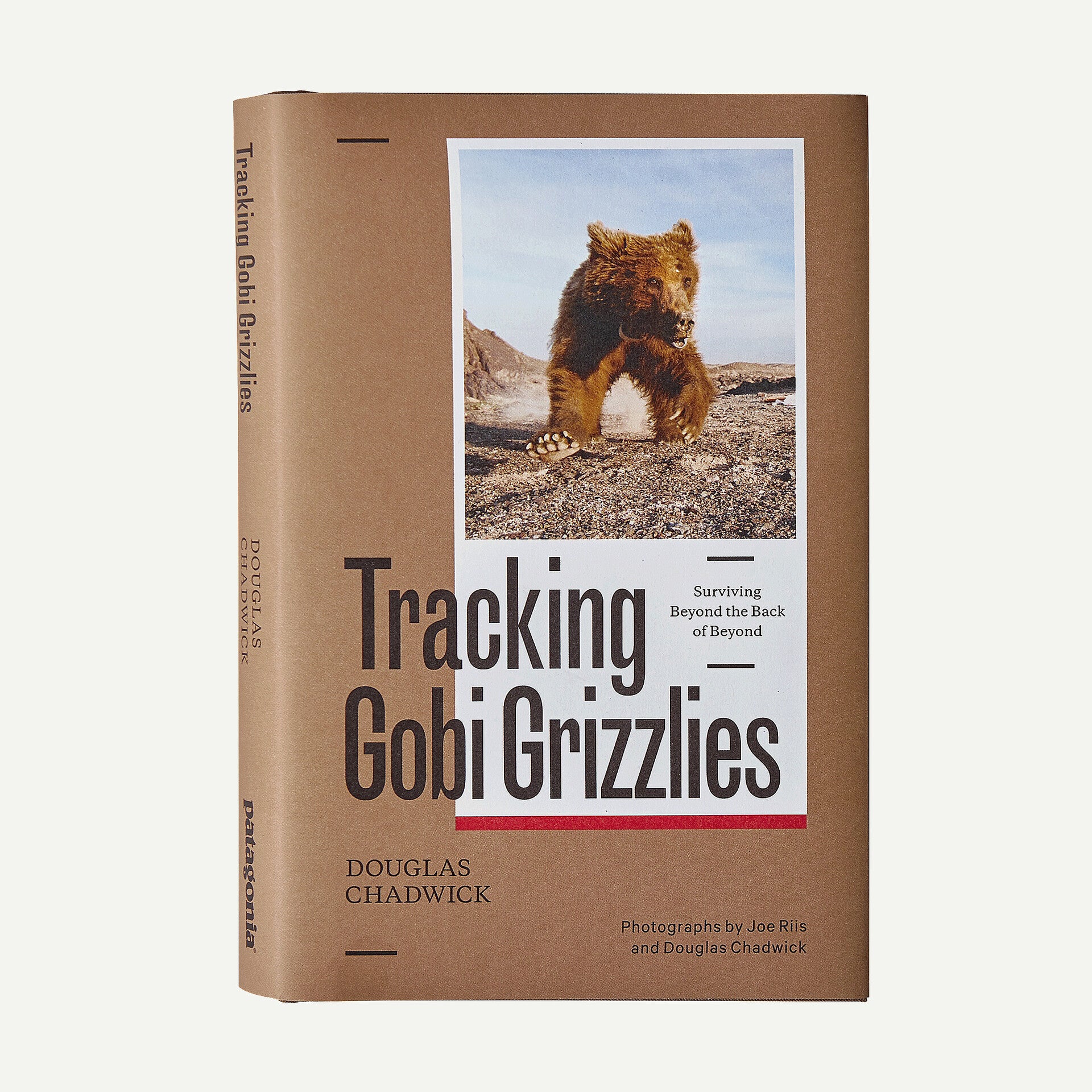 Suivi des grizzlis de Gobi