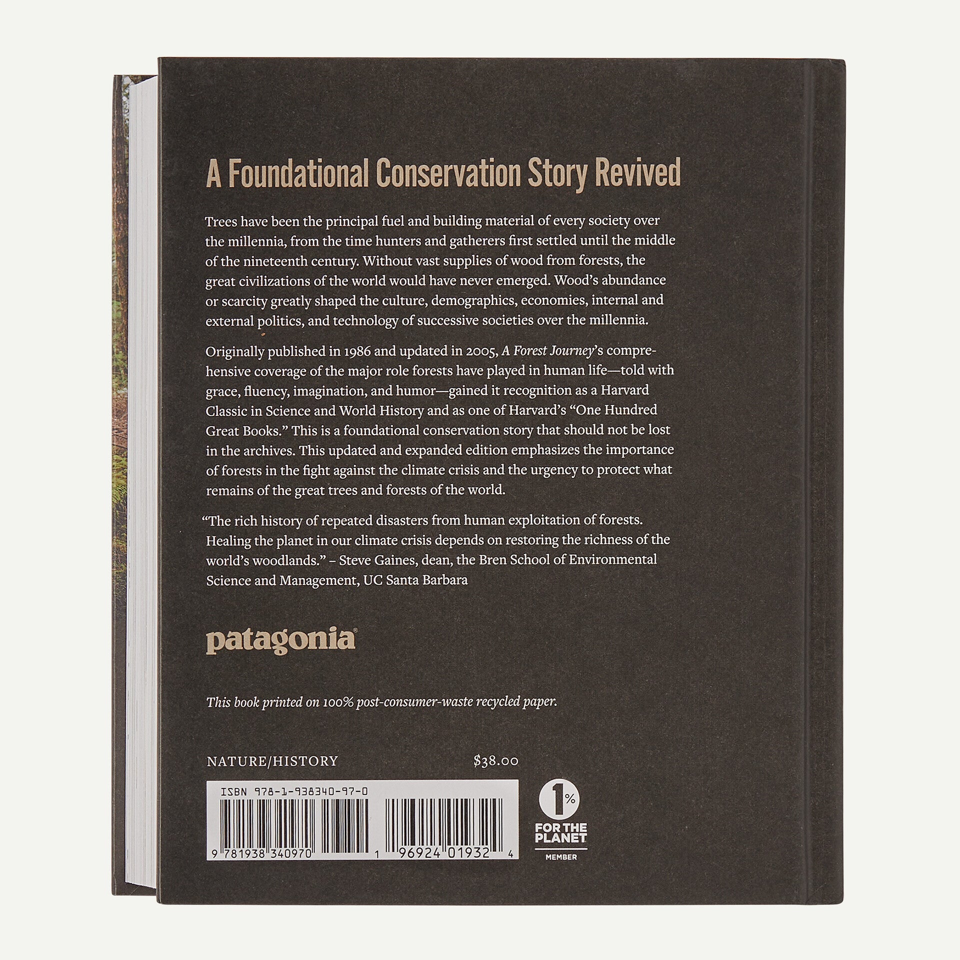 A Forest Journey: The Role of Trees in the Fate of Civilization
