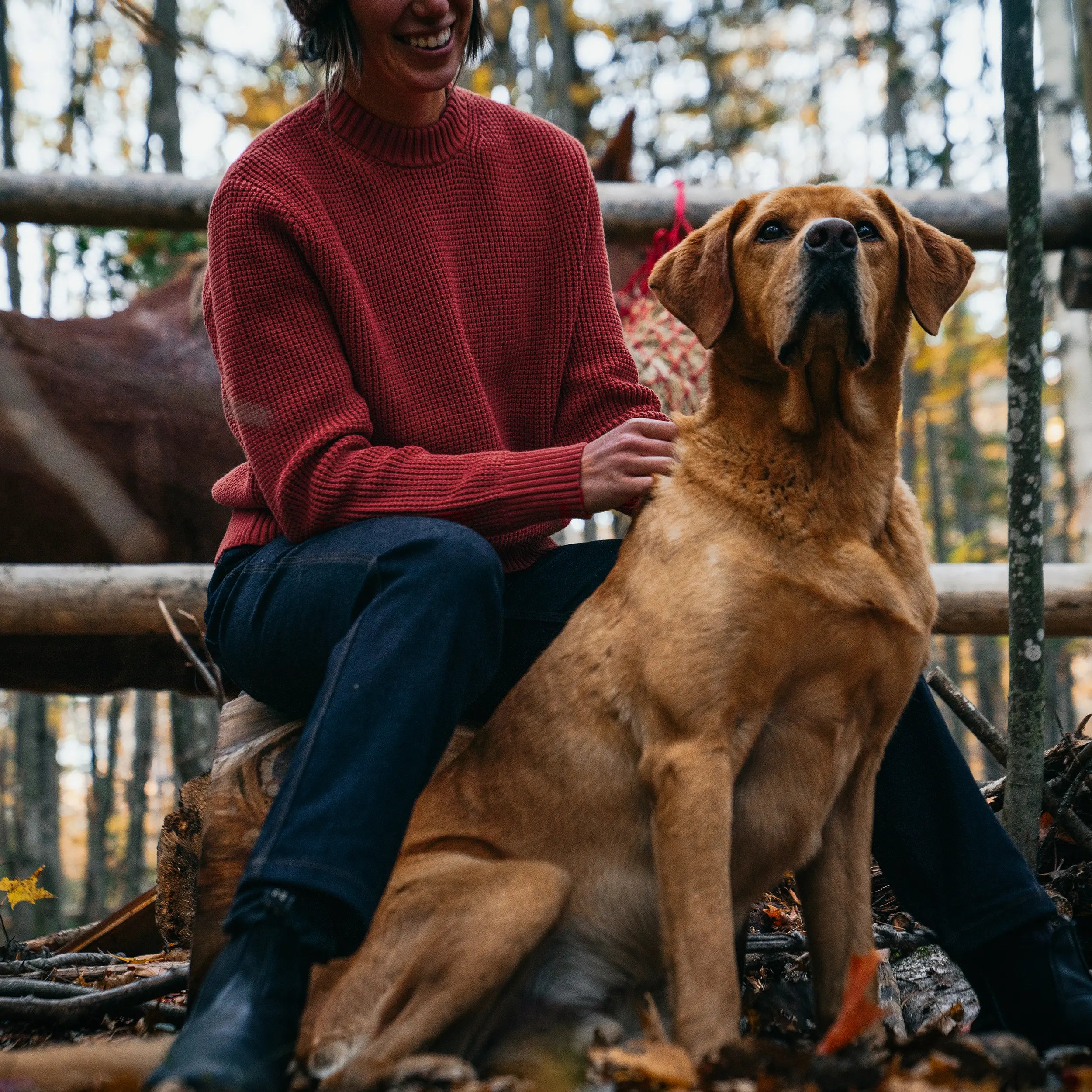 Women's Waffle Knit Sweater - Sale