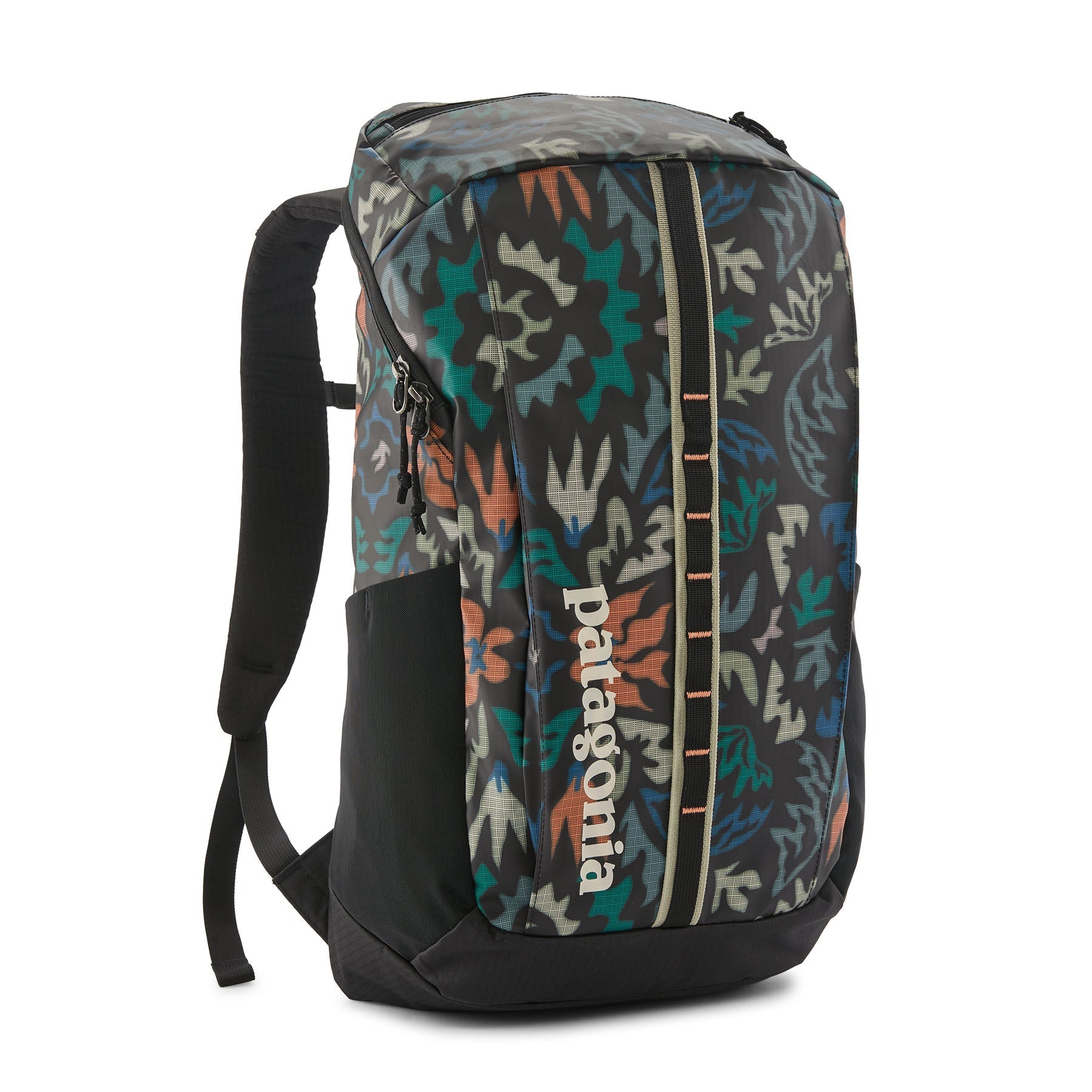 Patagonia Black Hole Pack 25L – Elements Outfitters