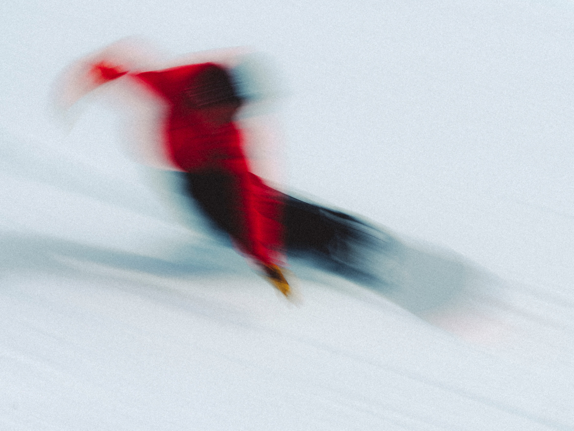 Patagonia Gift Guide