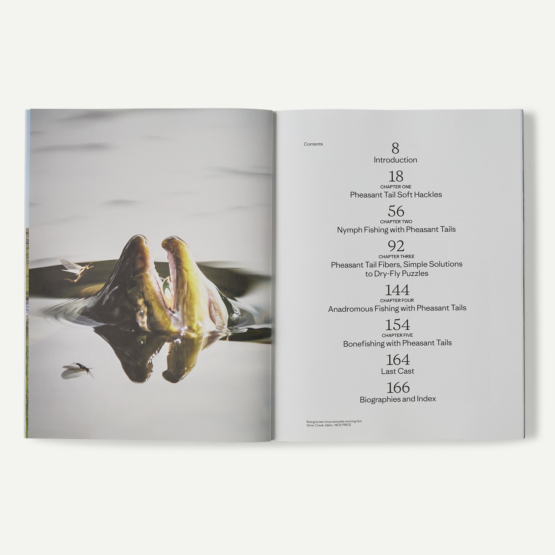 Pheasant Tail Simplicity: Recipes and Techniques for Successful Fly Fishing
