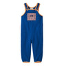 Patagonia Baby Synchilla Overalls