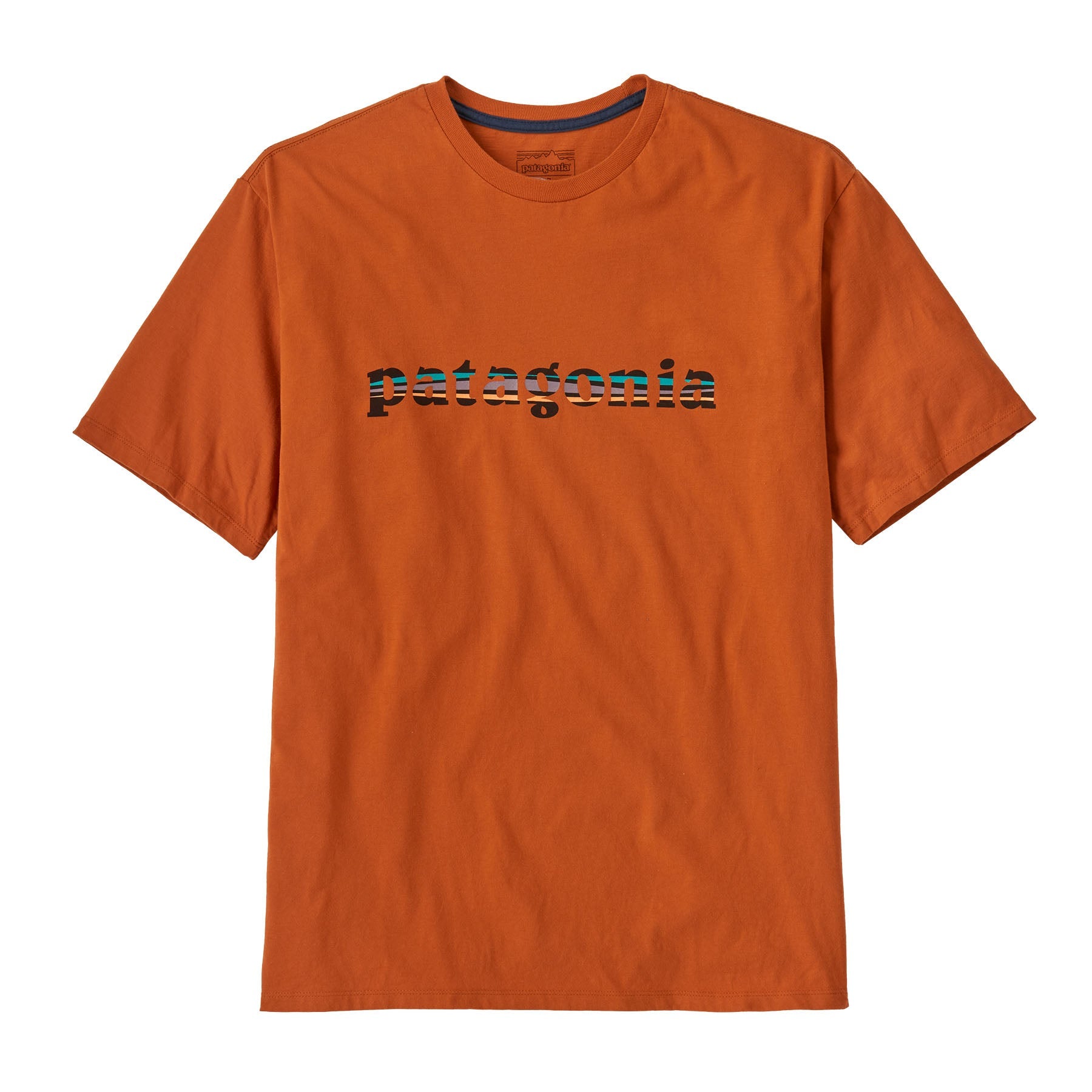 Patagonia Men's '73 Text Logo Organic T-Shirt