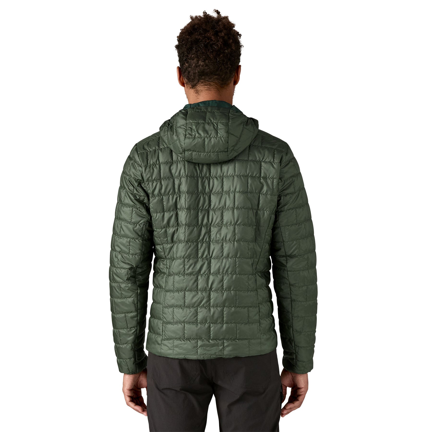 Men's Nano Puff Fitz Roy Trout Hoody