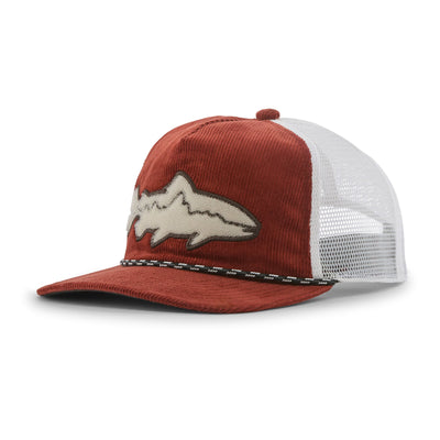 Chapeau attrape-mouches