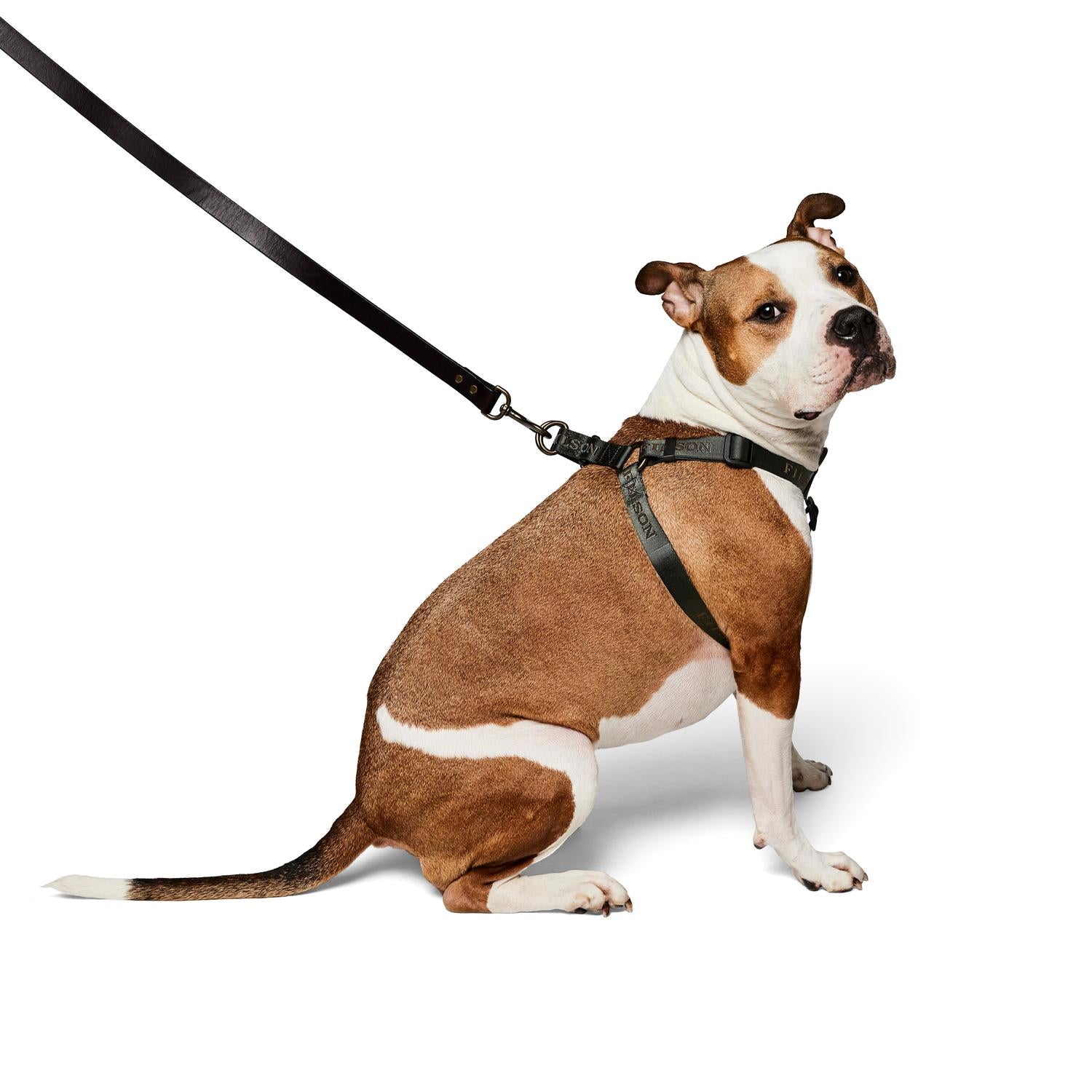 Filson Adjustable Nylon Harness – Elements Outfitters