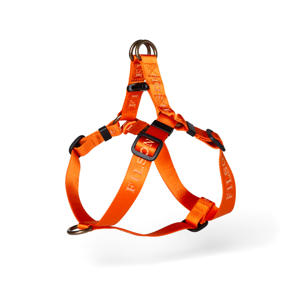 Adjustable Nylon Harness - Sale