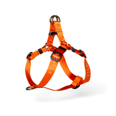 Adjustable Nylon Harness - Sale